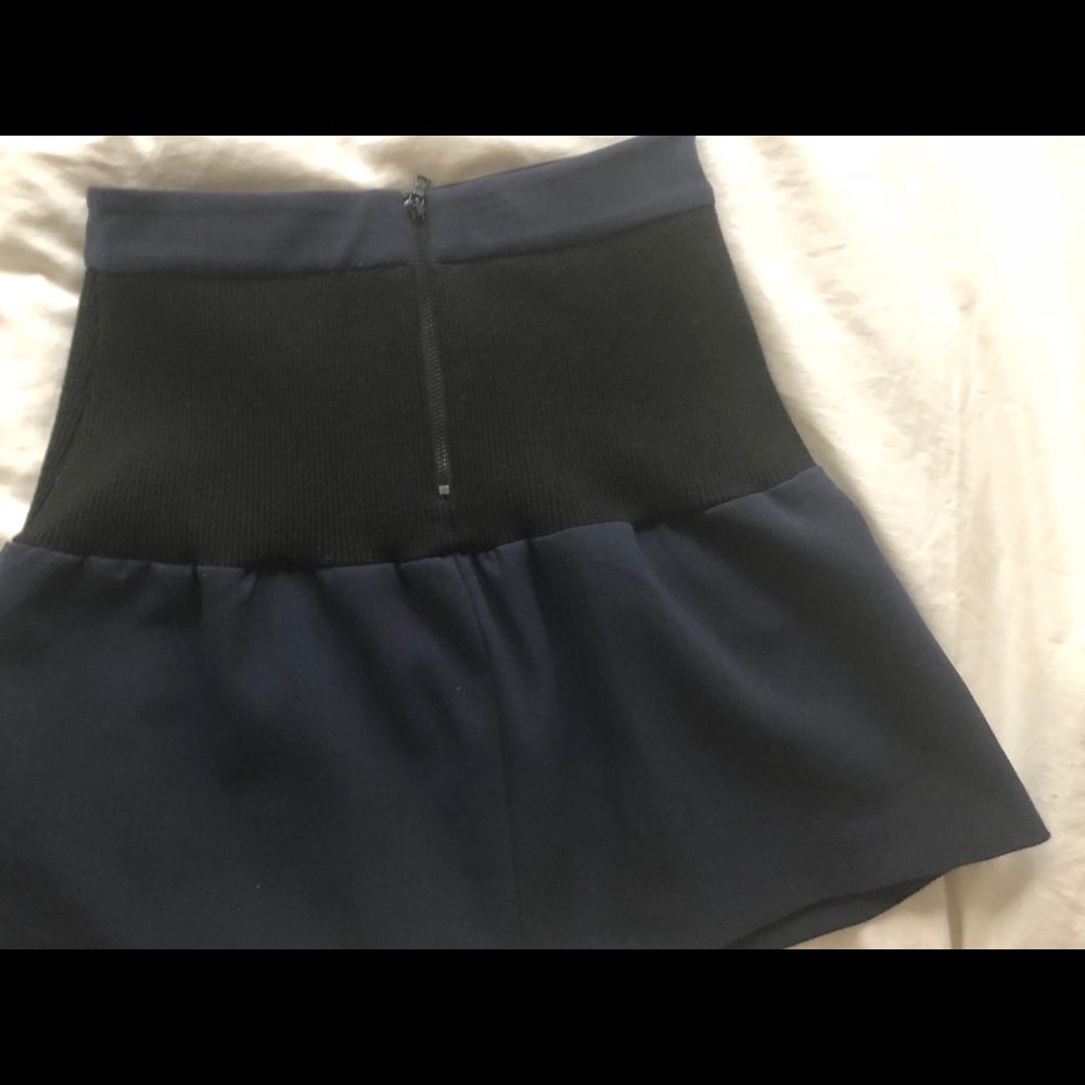 Alice and Olivia navy and black skirt